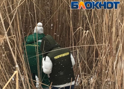 В астраханском поселке Морской ерик Дарма почернел от фекалий