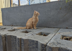 Погода, праздники, именины в пятницу 10 ноября