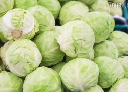 В Астрахани двое "любителей щей" обчистили участок пенсионерки