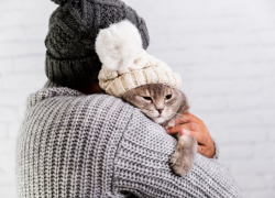 Отопление дадут астраханцам в ближайшие дни