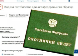 Теперь астраханцы могут получить охотничий билет через госуслуги
