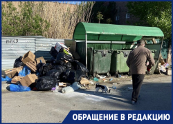 Астраханцы с улицы Урицкого пожаловались на нечистоплотность предпринимателей
