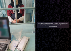 Астраханская полиция доказала причастность ульяновца к распространению порнографии в канале мессенджера