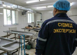 Астраханский следком установил личность и причину смерти мужчины, чье тело изъели собаки