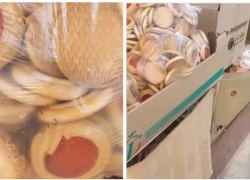 Астраханским бойцам СВО хотели передать просроченное печенье с муравьями