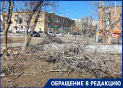 На улице Николая Островского коммунальщики уничтожили зелёные насаждения астраханцев