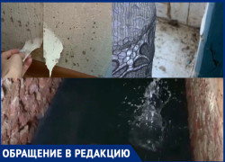 Жильцы многоквартирного дома по Николая Островского обращаются к Президенту, чтобы он помог осушить подвал