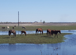 Прогноз погоды, именины, праздники в Астрахани в субботу 15 апреля
