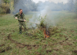 В Астраханской области уничтожили 13 очагов с дикорастущей коноплей 