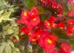 Прогноз погоды, именины, праздники в Астрахани в понедельник 7 августа