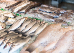 Астраханцев позвали на ярмарку океанической рыбы