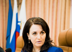 Депутатов астраханской гордумы не устроила работа Алены Губановой