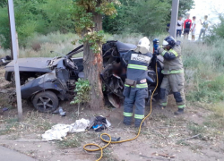 Астраханец, врезавшись в дерево, погиб на месте 