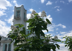 Прогноз погоды, именины, праздники в Астрахани в среду 21 июня