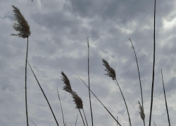В среду в Астрахани будет холод, дождь и сильный ветер: прогноз на 3 мая