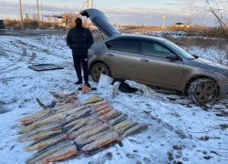 Астраханец нанес федеральным запасам рыбы ущерб в 5 миллионов рублей