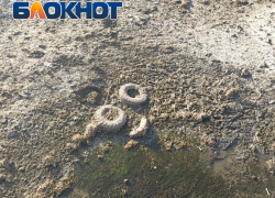 Астраханцы снимают в черте города «лунные пейзажи»