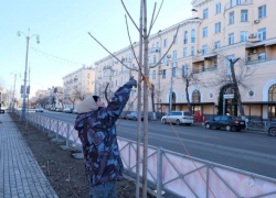 Астраханские озеленители готовят город к весне
