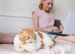 44% опрошенных астраханцев страдают интернет-зависимостью