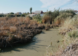 В селе Кулаковка под Астраханью засыхает кормящий ерик