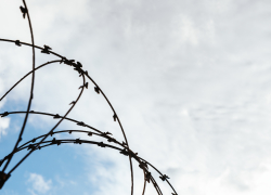 В Астраханской области поймали более 1300 нарушителей пограничного режима 