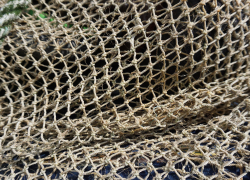 Полиция задержала астраханцев, ловивших рыбу сетями почти в центре города