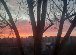 2 января в Астрахани будет по-весеннему тепло