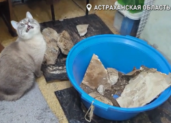 Прокуратура осмотрит аварийный дом в Астрахани, где обрушилась часть потолка