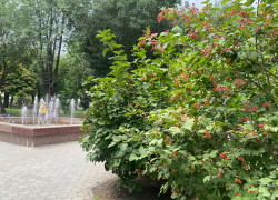 Прогноз погоды, именины, праздники в Астрахани в пятницу 1 сентября