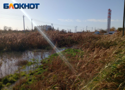 В Астрахани оазис благоустроенности отгородили от фекалий валом