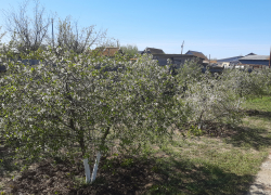 Прогноз погоды, именины, праздники в Астрахани в пятницу 21 апреля 