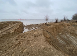 Директор фирмы в Астрахани ради незаконного заработка нанёс вред экологии