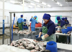 В Астраханской области прогнозируется рост цен на рыбную продукцию