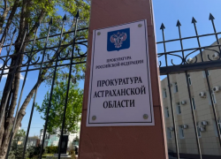 Астраханцу дали реальный срок за покупку тонны краснокнижной рыбы