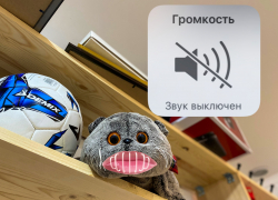 Астраханские депутаты предлагают запретить навязчивую рекламу в жилых домах 