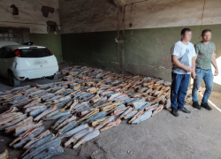 Двоих астраханцев будут судить за незаконную покупку 219 осетров и 60 севрюг