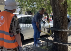 В Астрахани незаконные торговцы придумали крепить прилавки цепями к деревьям