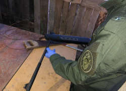 В Астраханской области мужчина пристрелил знакомого из пневматической винтовки