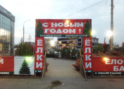 В Астрахани цены на елки выросли на треть