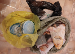 У астраханца с судимостями изъяли осетров и чёрную икру