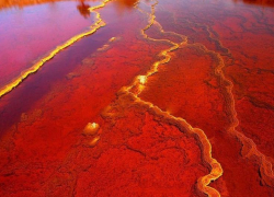 Астраханская стивидорная компания заплатит 5 миллионов за загрязнение реки Бахтемир