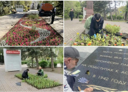 Глава Астрахани попросил уважать труд озеленителей и не воровать рассаду