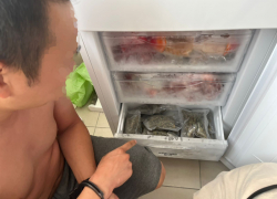 В Астрахани задержан владелец нарколаборатории по производству каннабиса 