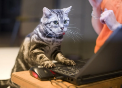 Мотивацию хорошо работать астраханцы черпают из денег, уважения и приятного коллектива