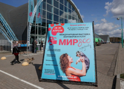 Астраханский наполнитель для кошачьих лотков представили на выставке в Беларуси