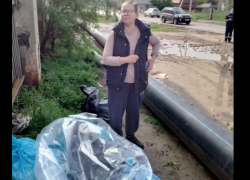 Астраханская полиция начала проверку квартиры, в которой хранили трупы бродячих собак 