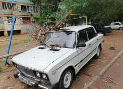 В Трусовском районе Астрахани дерево упало на машину