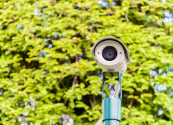 За полгода на астраханских улицах зафиксировано почти 1000 правонарушений