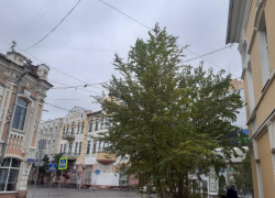 Понедельник в Астрахани будет пасмурным и очень ветренным: прогноз на 14 ноября