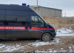 Игорь Бабушкин высказался об ужесточении мер против бездомных собак 